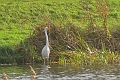 22 12 16_4693_edited-1